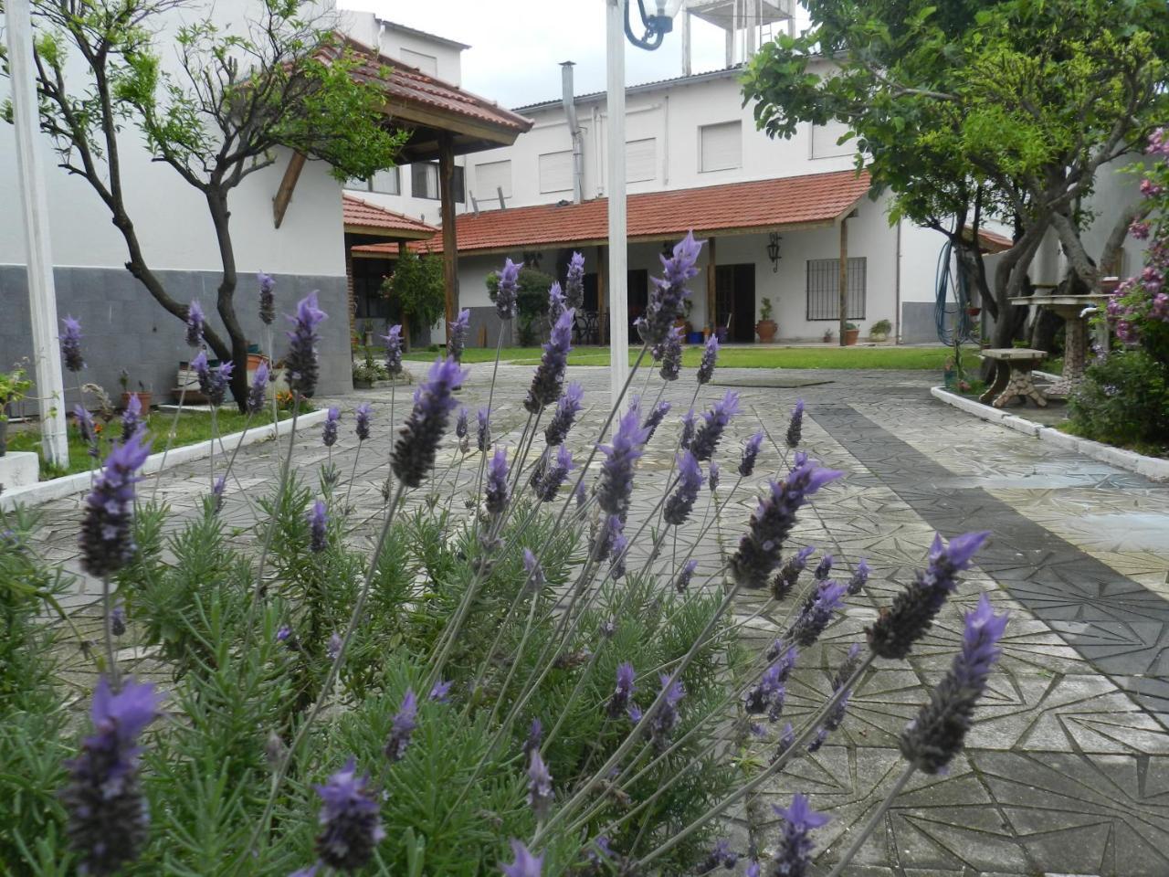 Eluney Hotel San Clemente del Tuyú