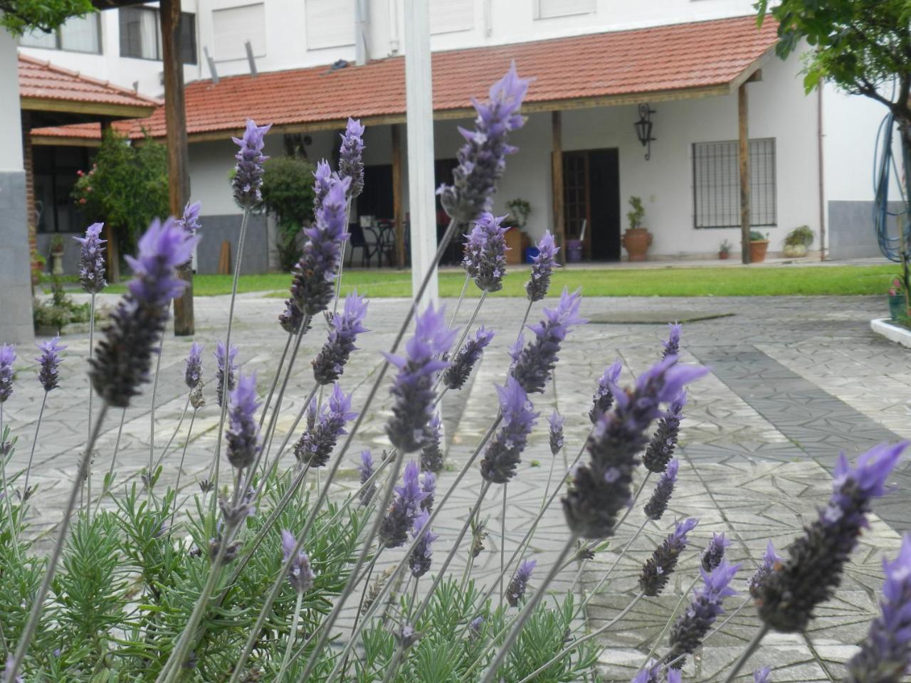 Hotel Eluney